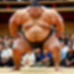A powerful sumo wrestler in a traditional mawashi, showcasing strength and agility.